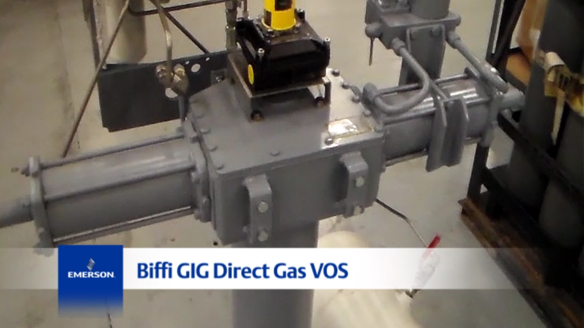 Biffi-gig-video
